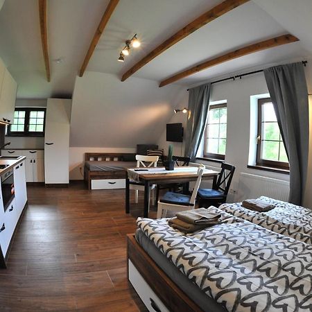 Apartmány U Fibichů Orlicke Zahori Esterno foto