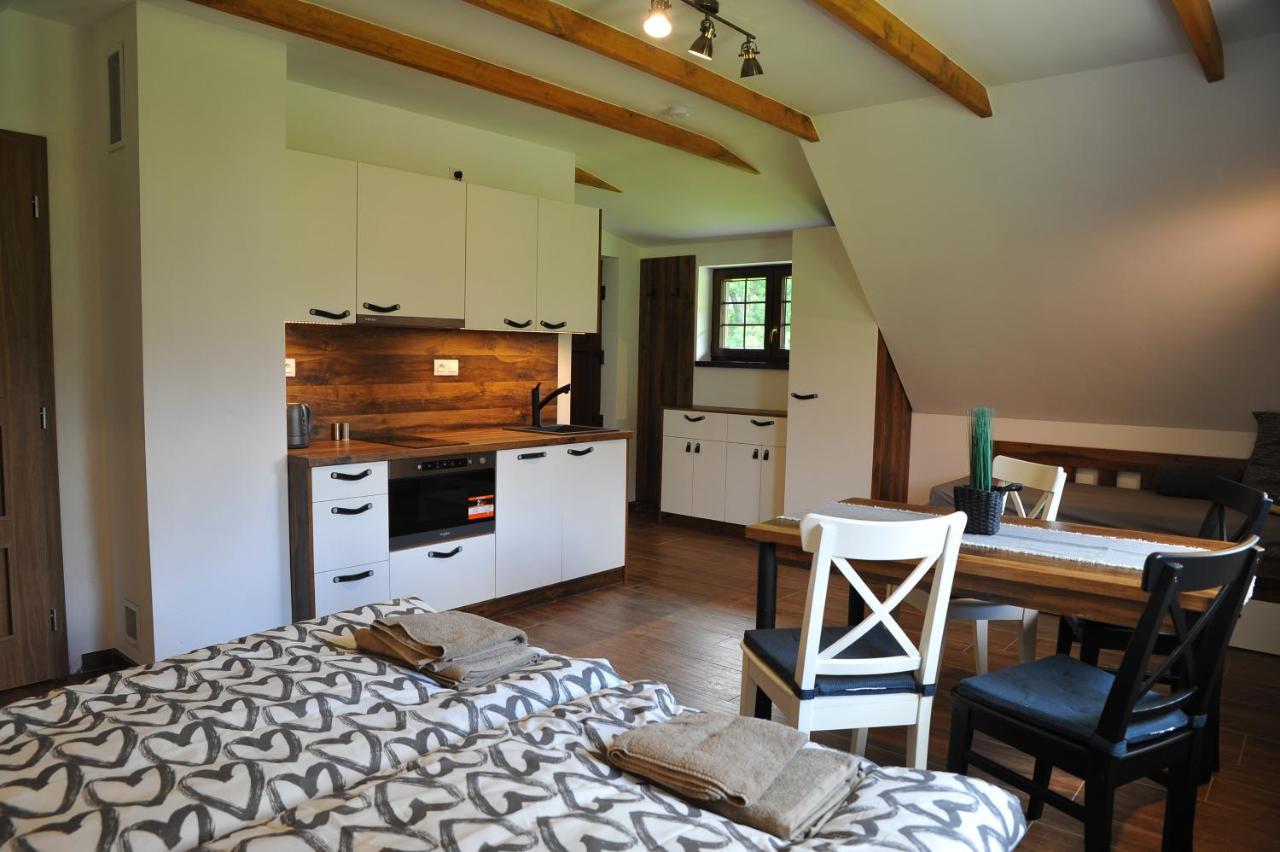 Apartmány U Fibichů Orlicke Zahori Esterno foto